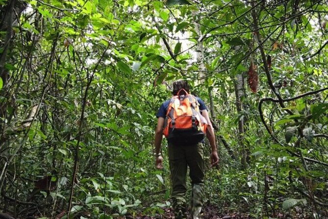 Fansipan Trek One Day Tour  Roof of Indochina - Authentic Experiences and Reviewer Insights