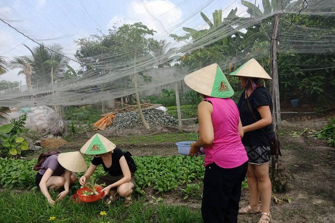 Farm-To-Table Healthy Cooking Class in Ho Chi Minh City - Who Should Consider This Experience?