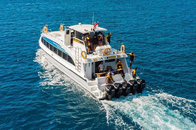 Fast Boat Transfer Sanur to Nusa Penida by Penidago - Pricing and Value