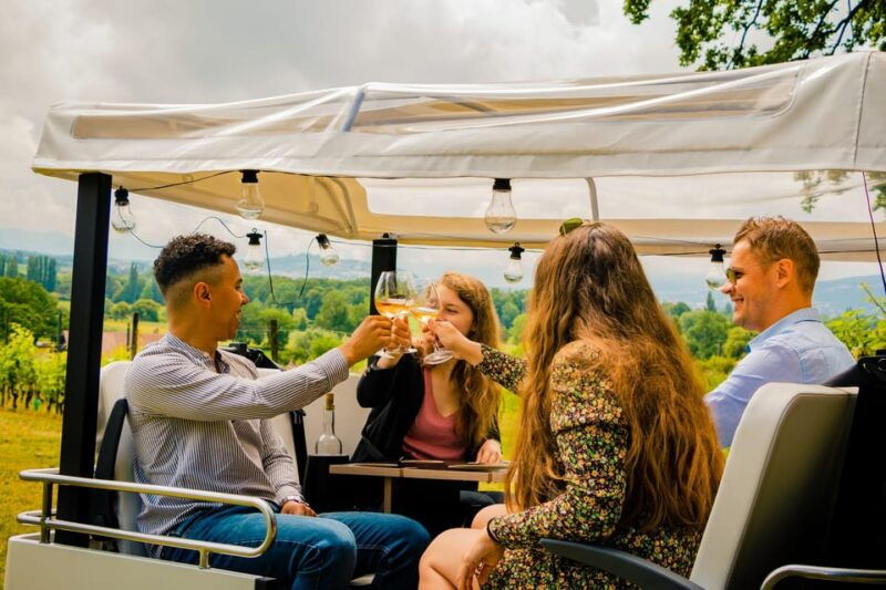 Fondue and wine private Tuk Tuk tour in Geneva - Detailed Breakdown of the Itinerary