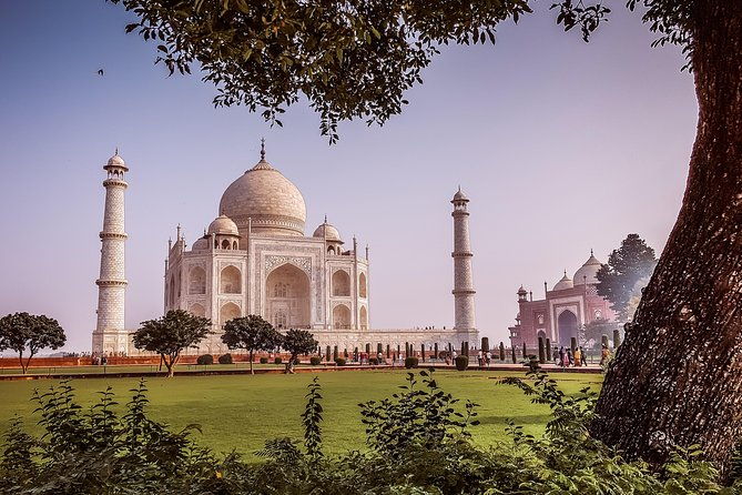 Four days Golden Triangle Luxury Tour with Dinner to Agra and Jaipur from Delhi - Who Will Benefit Most From This Tour?
