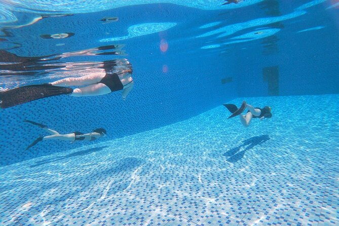 Freediving in Phuket - SSI - AIDA - Molchanovs - PADI - Final Thoughts