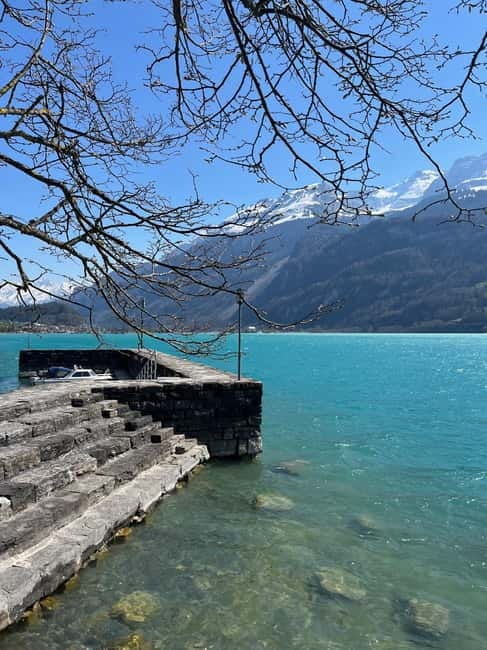 From Basel: Alps, Waterfalls and Lakes Private Tour - Analyzing the Experience and Its Value