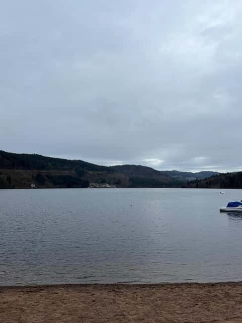 From Basel: Black Forest, Waterfall & Lakes Private Tour - Todtnau Waterfall: Nature’s Power and Beauty