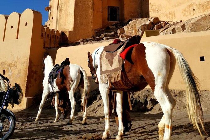 From Delhi: Private Jaipur Tour by Car - All Inclusive - Whats Included and Whats Not
