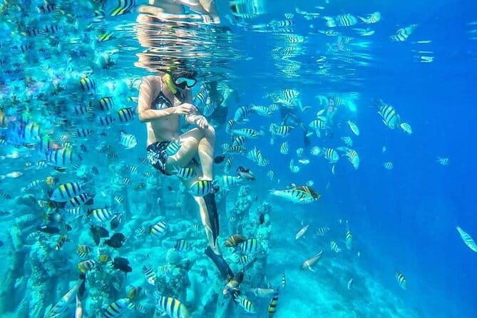 From Gili Trawangan & Gili Air Snorkeling Trip Sharing & Private - The Value Proposition: Why This Tour Works Well