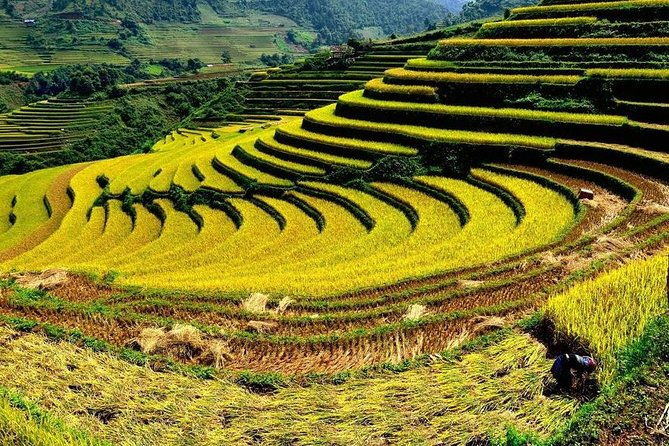 From Hanoi: 2-Day Overnight Sapa Tour by Luxury Van Limousine - Who Is This Tour Best For?