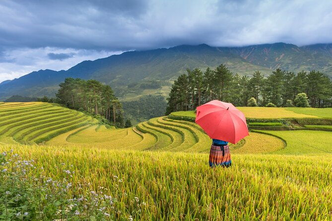 From Hanoi: 3 Days Sapa Trekking & Ethnic Villages by Dcar - The Sum Up