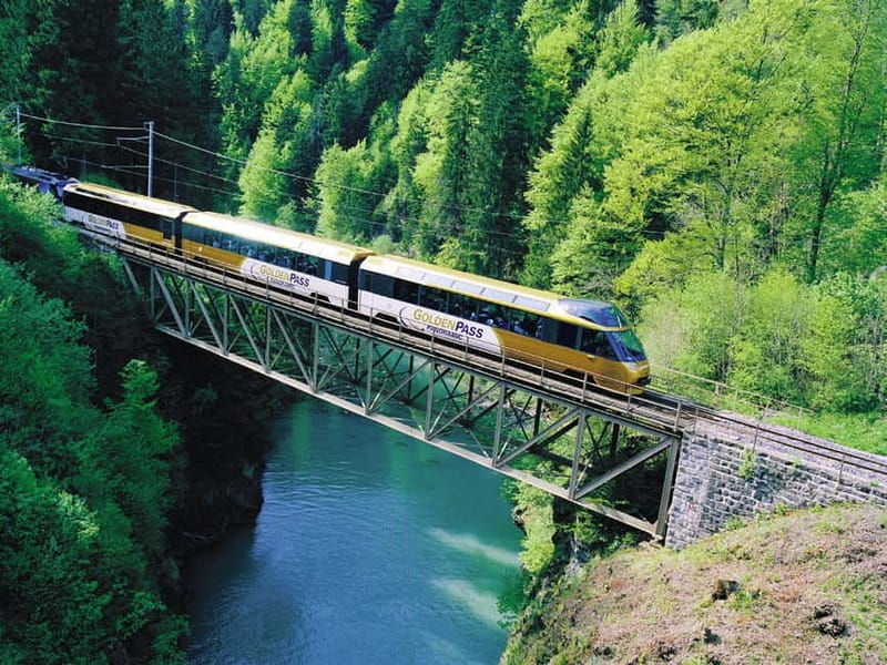 From Lausanne: Gruyères Tour with Train, Chocolate & Cheese - Who Would Love This Tour?