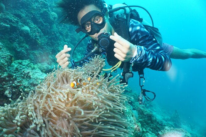 From Phi Phi: Half Day Discover Scuba (2 Dives) - Authentic Experiences from Reviewers