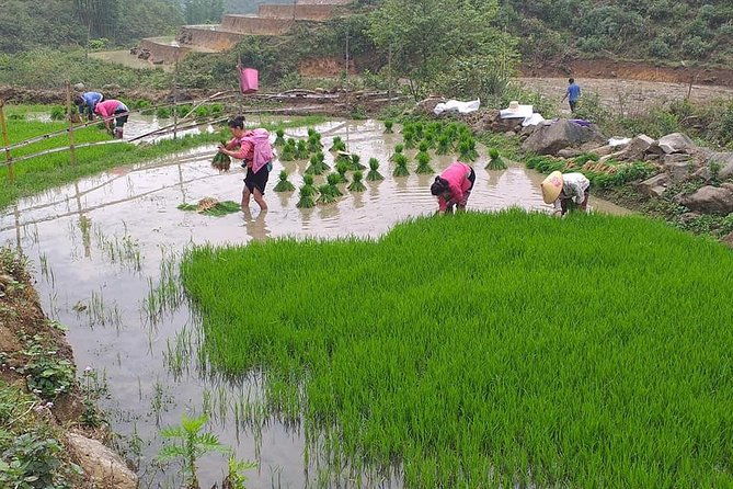 From Sapa: 2 Day Tour Through Villages and Countryside - Day 2: Further Village Wandering and Mountain Views