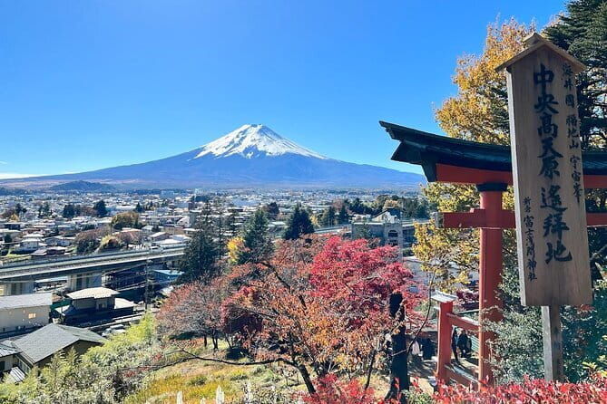 From Tokyo: Mount Fuji Sightseeing One Day Trip - Who Should Consider This Tour?