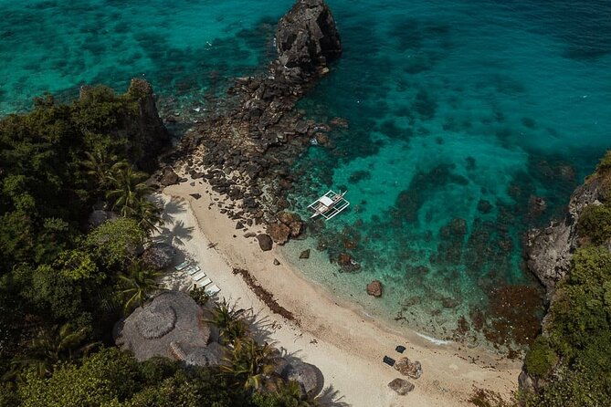Full Day Apo Island Tour from Dumaguete - Why Choose This Tour?