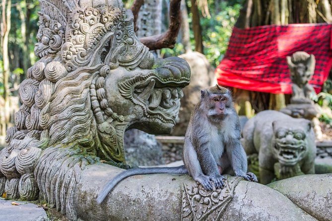 Full-Day Ayung River White Water Rafting and Ubud Tour - Practical Tips for Travelers