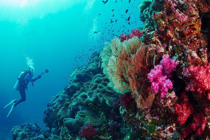 Full-Day Beginner Scuba Course with Private Tuition, Racha Yai - Practical Considerations & Tips