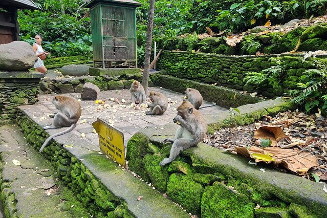Full Day Best of Ubud Private Tour - Frequently Asked Questions