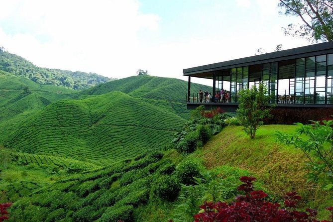 Full-Day Cameron Highlands & Batu caves Tour - What’s Included and What’s Not