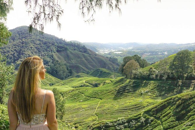 Full Day Cameron Highlands Nature Tour with Hobbitoon Village - Practical Tips for Your Cameron Highlands Tour