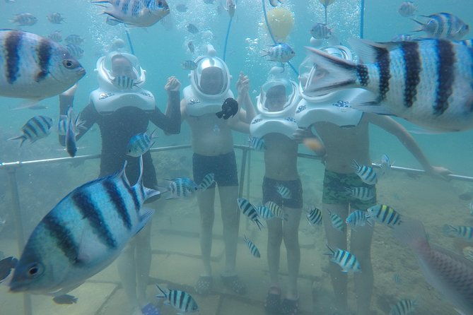 Full-day Cham Islands Cruise from Hoi An with Underwater Walking Excursion - Who Should Consider This Tour?