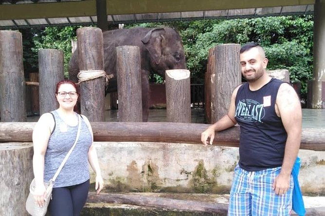 Full Day Elephant Sanctuary Tour with a Free Batu Caves Visit - FAQ