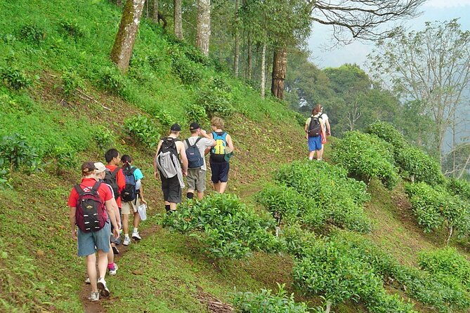 Full-Day Hike and Bike Tour from Chiang Mai - The Sum Up
