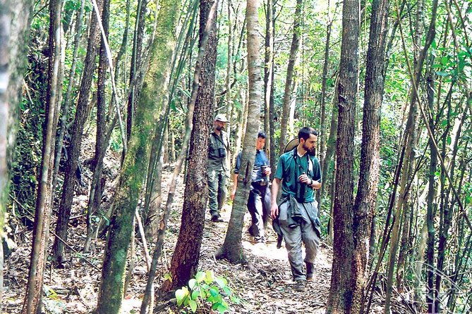 Full day: Hoi An - Bach Ma National Park - FAQ: Practical Questions About the Tour