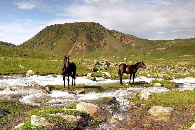 Full Day in Nature at Chunkurchak and Ala Archa National Park - Why This Tour Offers Great Value