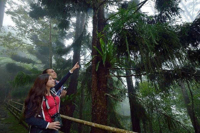 Full-Day Kinabalu Park and Poring Hot Spring Day Trip - Lunch and Additional Insights