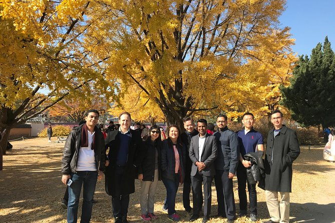 [ Full Day ] Nami Island & Petit France From Seoul - FAQ