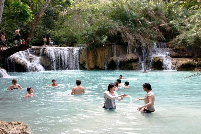 Full-Day Phu Quoc Island Tour - Authentic Insights from Reviewers