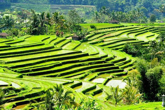 Full-Day Private Cultural Bali Tour + Balinese Driver - In The Sum Up