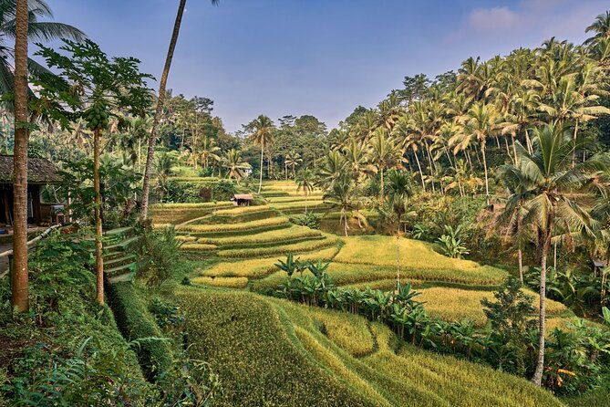 Full Day Private Guided Tour to Bali - Optional Stops and How They Add to the Experience