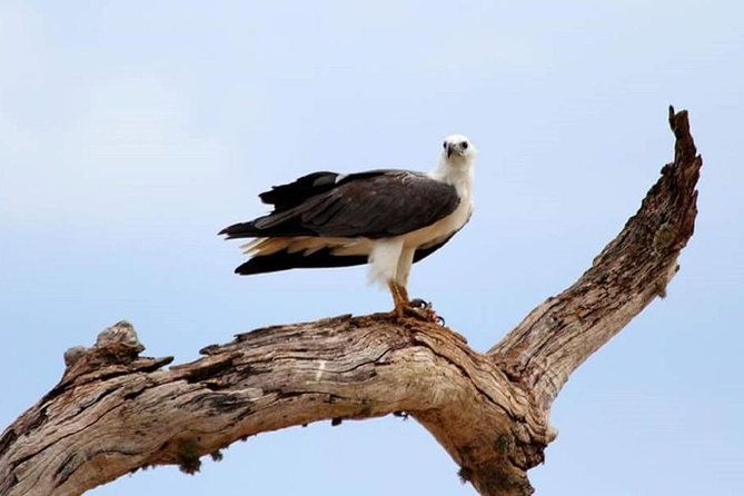 Full Day Private Safari at Yala National Park by Yala La Safari Tours - FAQ