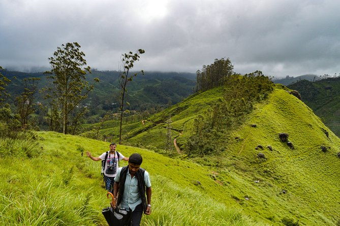 Full-Day Private Tour to Munnar from Kochi with Lunch - Final Thoughts