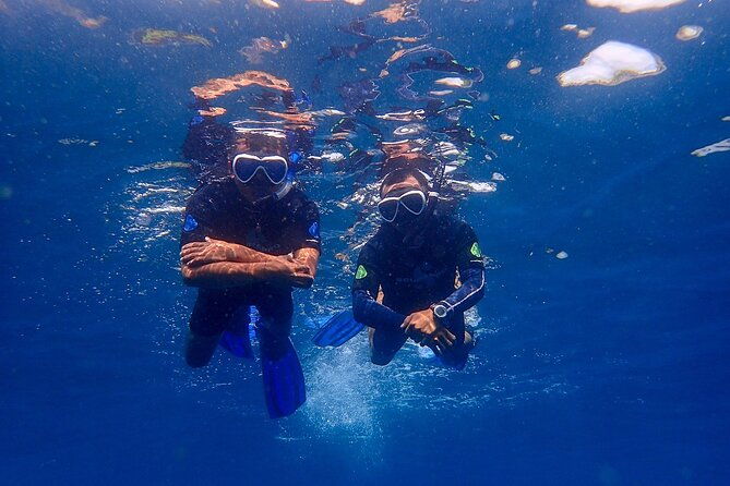 Full-Day Scuba Diving Experience of USAT Liberty in Tulamben - Final Thoughts