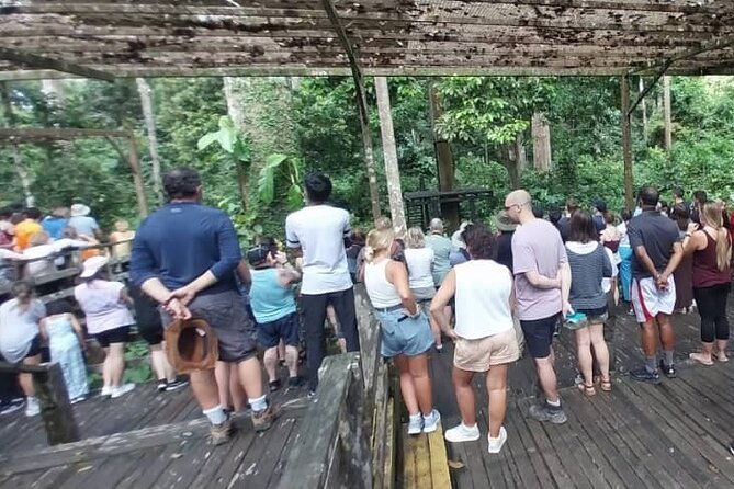 Full-Day Sepilok Orangutan and Sandakan City Trail from Kota Kinabalu - Final Thoughts: Is This Tour Right for You?