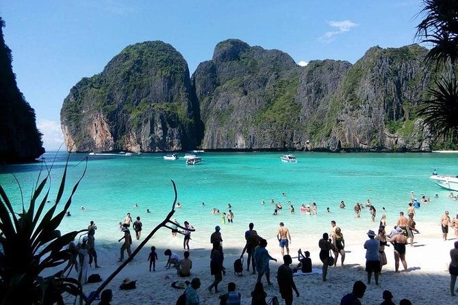 Full Day Tour of Phi Phi Island by Big Boat from Rassada Pier, Phuket (SHA Plus) - Who Would Love This Tour?