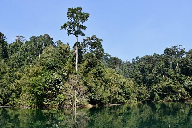 Full-Day Tour to Cheow Lan Lake in Khao Sok National Park from Krabi - What Reviewers Say About the Experience