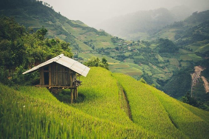 Full Day Trekking Mu Cang Chai - The Sum Up: Who Will Love This Experience?