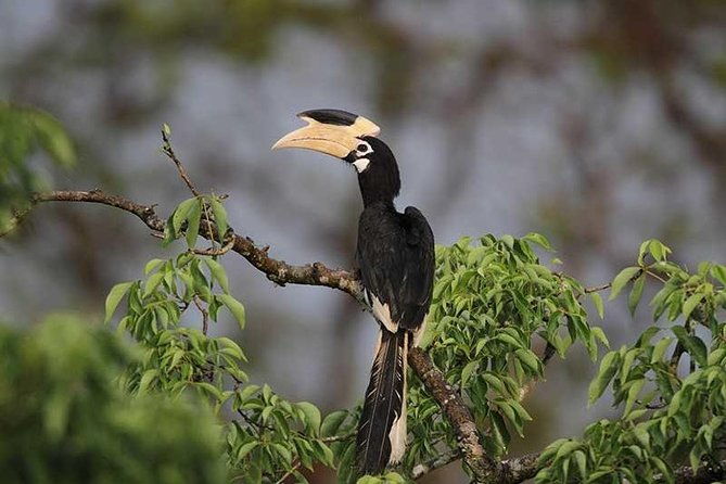 Full Day Wilpaththu National Park Safari (All Inclusive) - The Practical Details