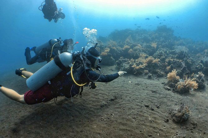 Fun Diving Tulamben Bali - For Certified Divers - Why This Tour Offers Great Value