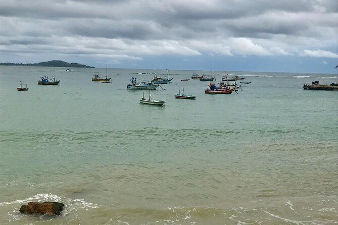 Galle Day Tour via Hikkaduwa Beach - The Sum Up