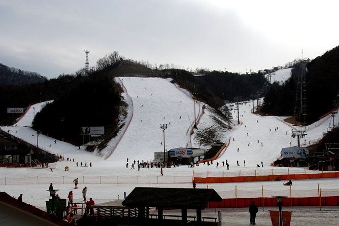Gangchon Elysian Ski Day Trip from Seoul - Authentic Experiences & Tips from Reviews