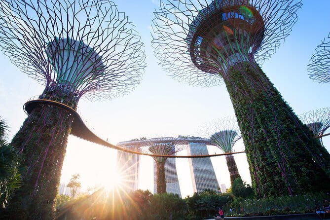 Gardens by the Bay Guided Tour - Practical Tips for Visitors
