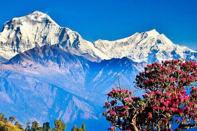 Ghorepani Poon Hill Trek - Practicalities and Tips