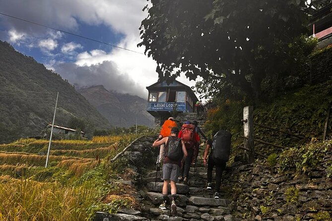 Ghorepani Poonhill Private Trek - 2 nights / 3 days - Transport and Logistics