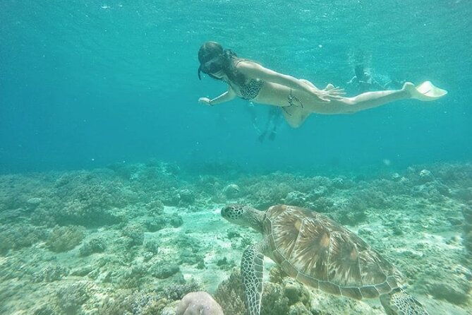 Gili island Snorkeling Half Day Trip departure from Gili Trawangan - Value for Money