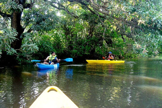 Goa Kayaking Spike's Salonia Backwaters Kayaking Experience - The Sum Up
