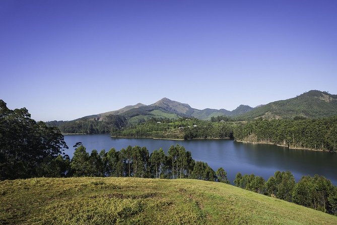 God's Own Country - KERALA (8 Days private trip) - Who Should Book This Tour?