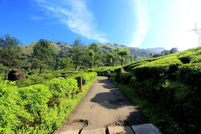 Green Magic Day Tour to Munnar - Who Will Love This Tour?